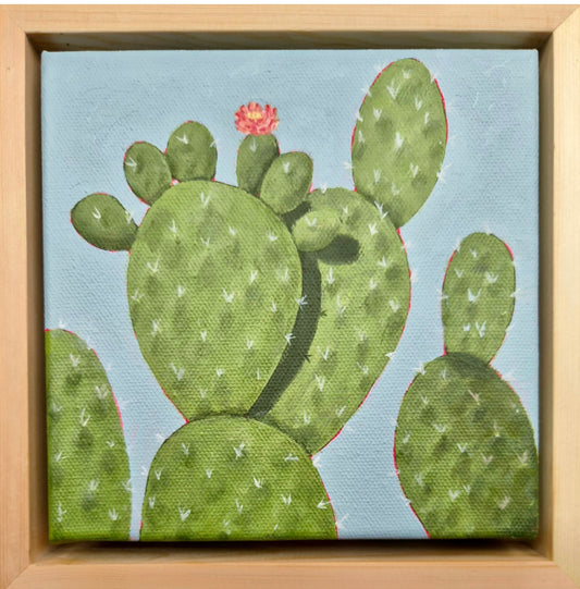 Nadia Dong - Cactus Bloom 2