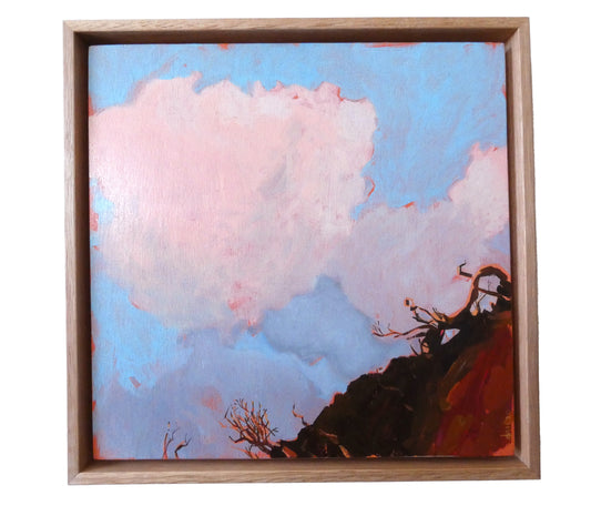 Debbie Mourtzios - Sunnymeade Cliffs