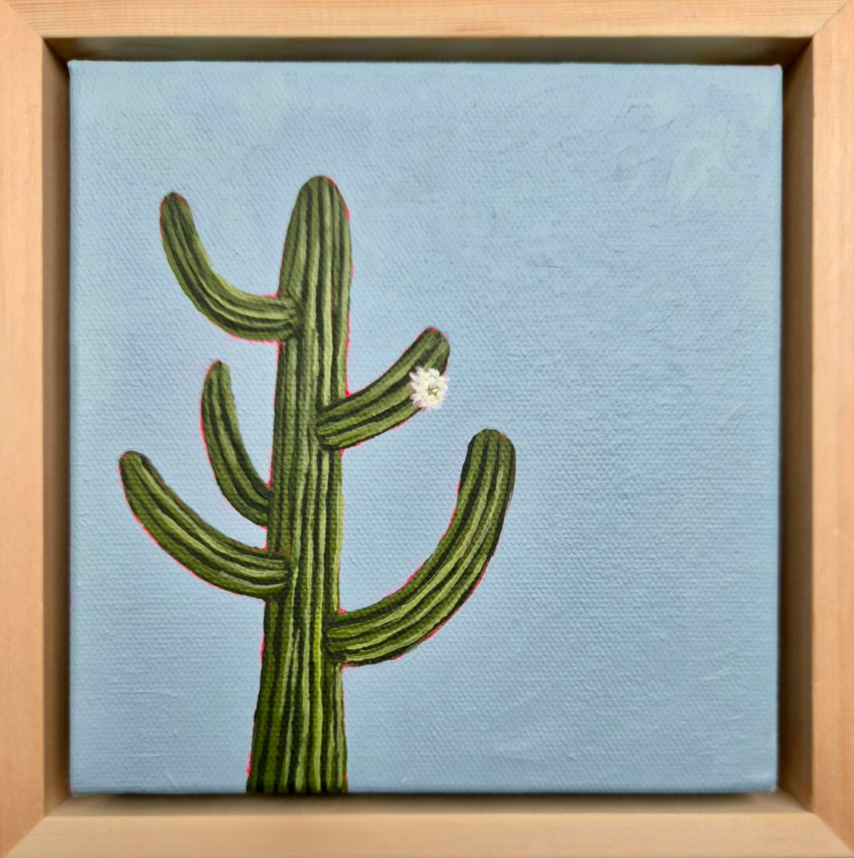 Nadia Dong - Cactus Bloom 1
